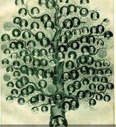 Descubriendo el origen de tu familia: cómo utilizar la historia de lugar y fecha de nacimiento para investigar tu árbol genealógico