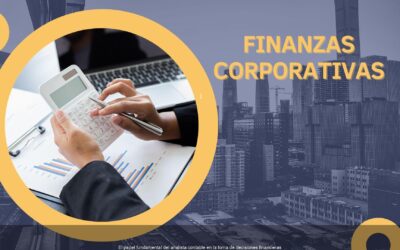 El papel fundamental del analista contable en la toma de decisiones financieras