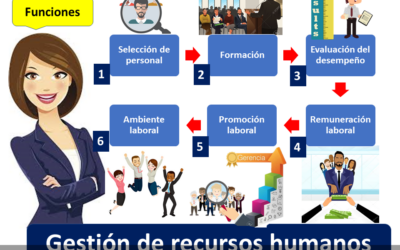 Descubriendo el perfil ideal de un gerente de recursos humanos: habilidades y competencias clave